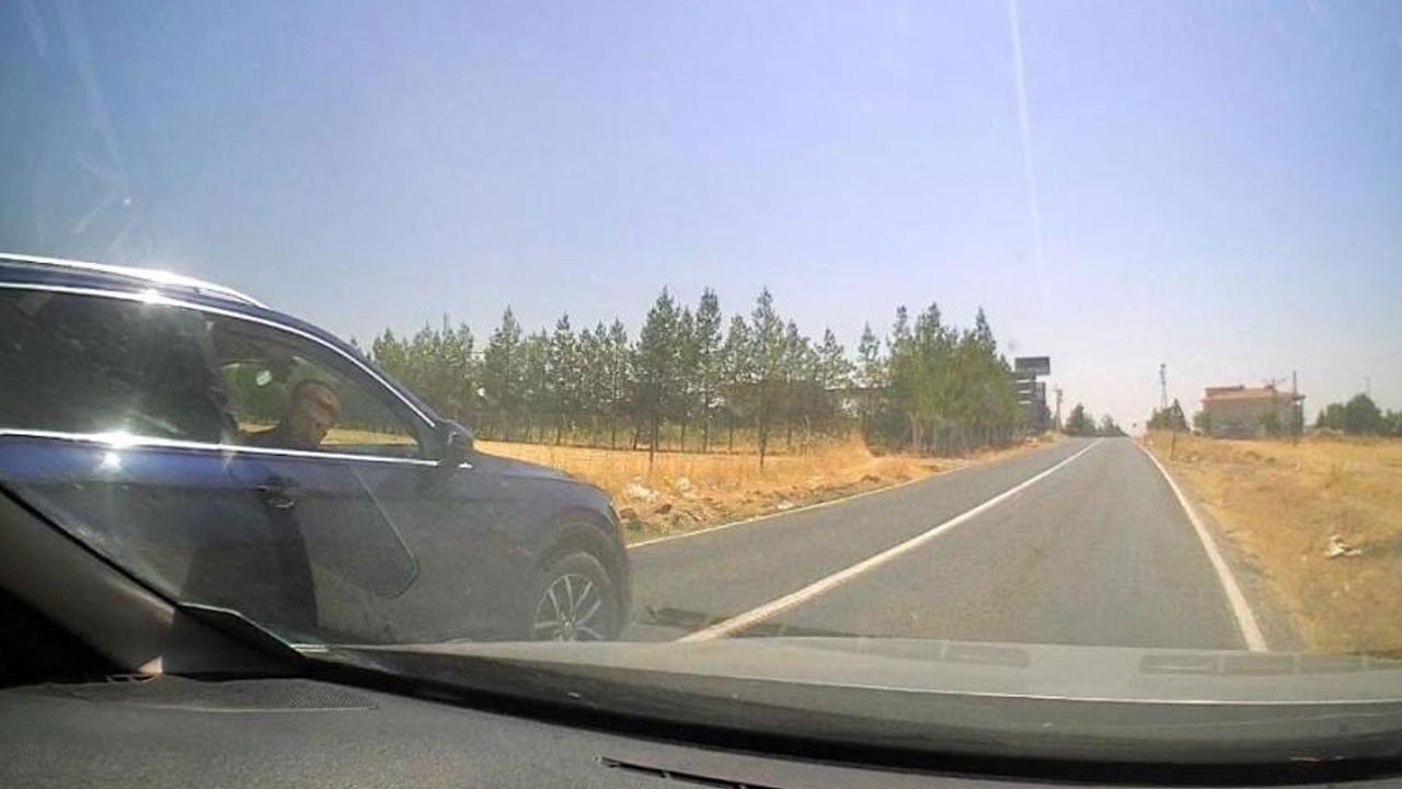 Kuduz kedi haberi yapan gazetecileri kazaya sürüklediler