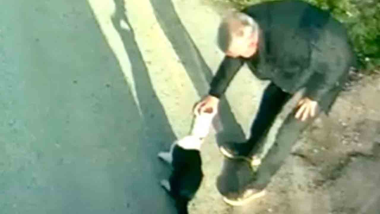 Malatya’da can kurtaran şoför: Konserveye sıkışan kediyi kurtardı