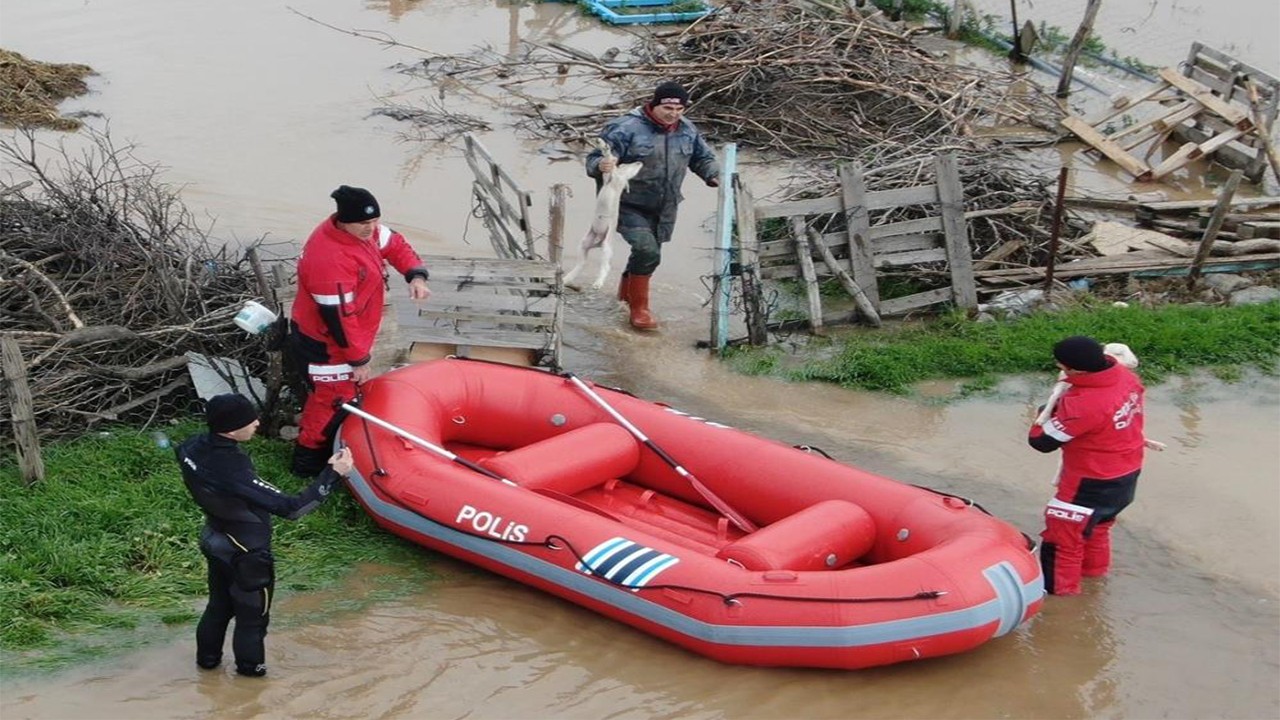 Menderes çayı taştı kuzularıyla birlikte boğulmaktan son anda kurtarıldı