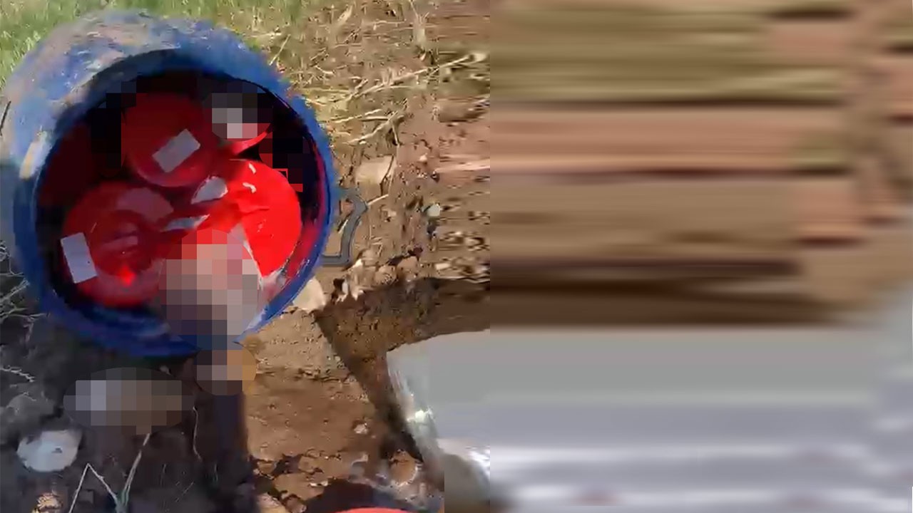 Mezarlıkta dehşete düşüren görüntü! Bidondaki kutulardan 21 cenin çıktı