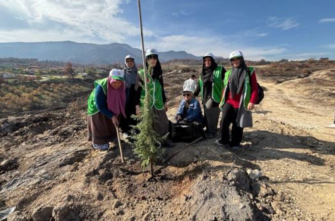 Milli Ağaçlandırma Günü'nde İHH’dan çiftçilere fidan desteği
