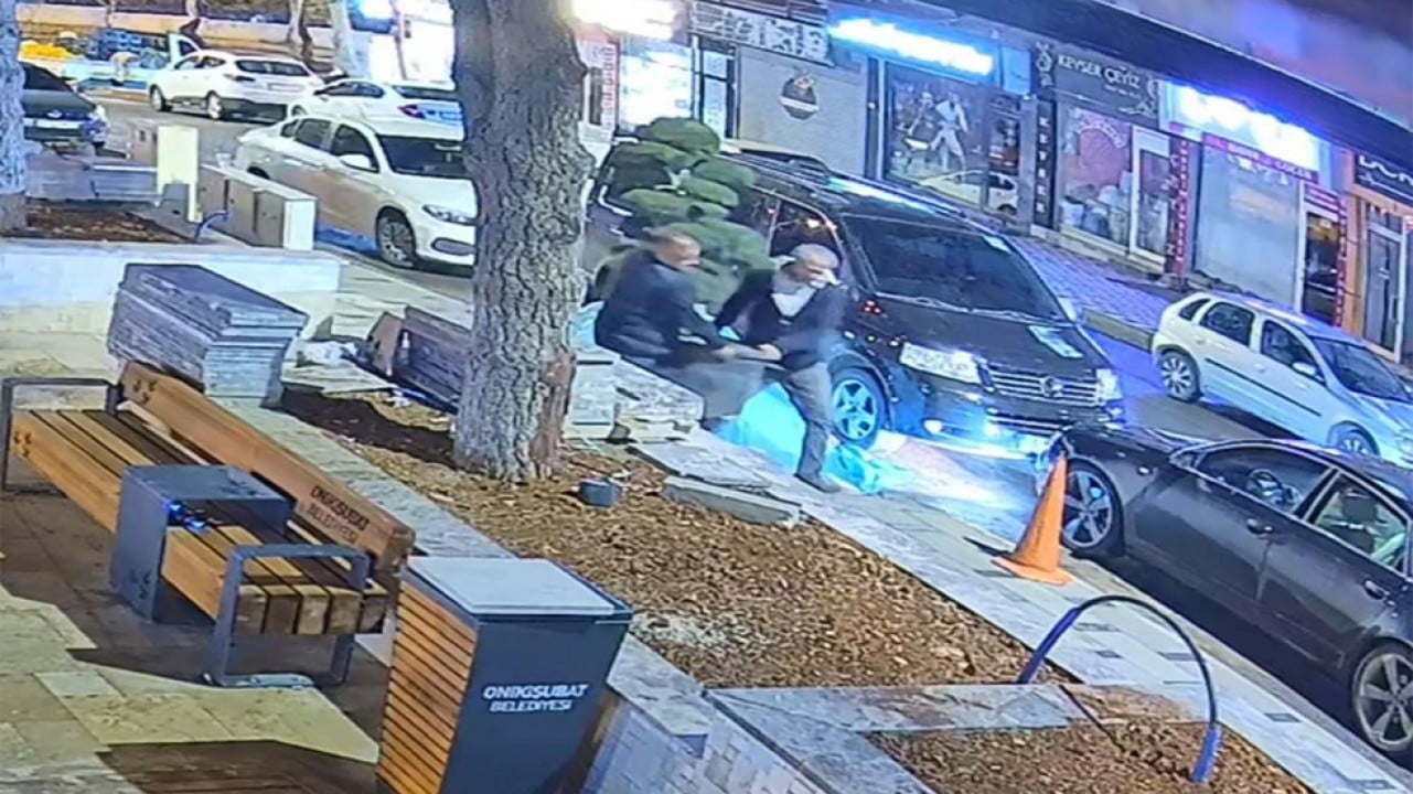 Ne bulurlarsa çalıyorlar. Parktaki ağacı otomobile atıp kaçtılar