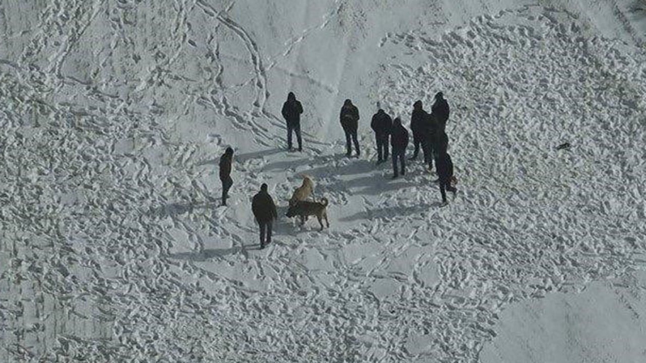 Nevşehir'de köpek dövüştürenlere jandarmadan dronlu baskın