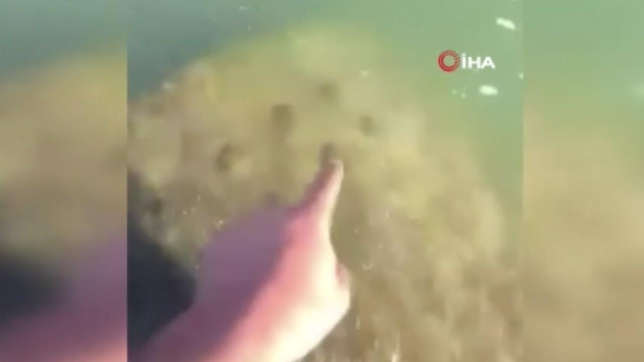 Osmanlı Devleti iddiası gerçek mi? Dicle Nehri’nden savaş gemisi çıktı