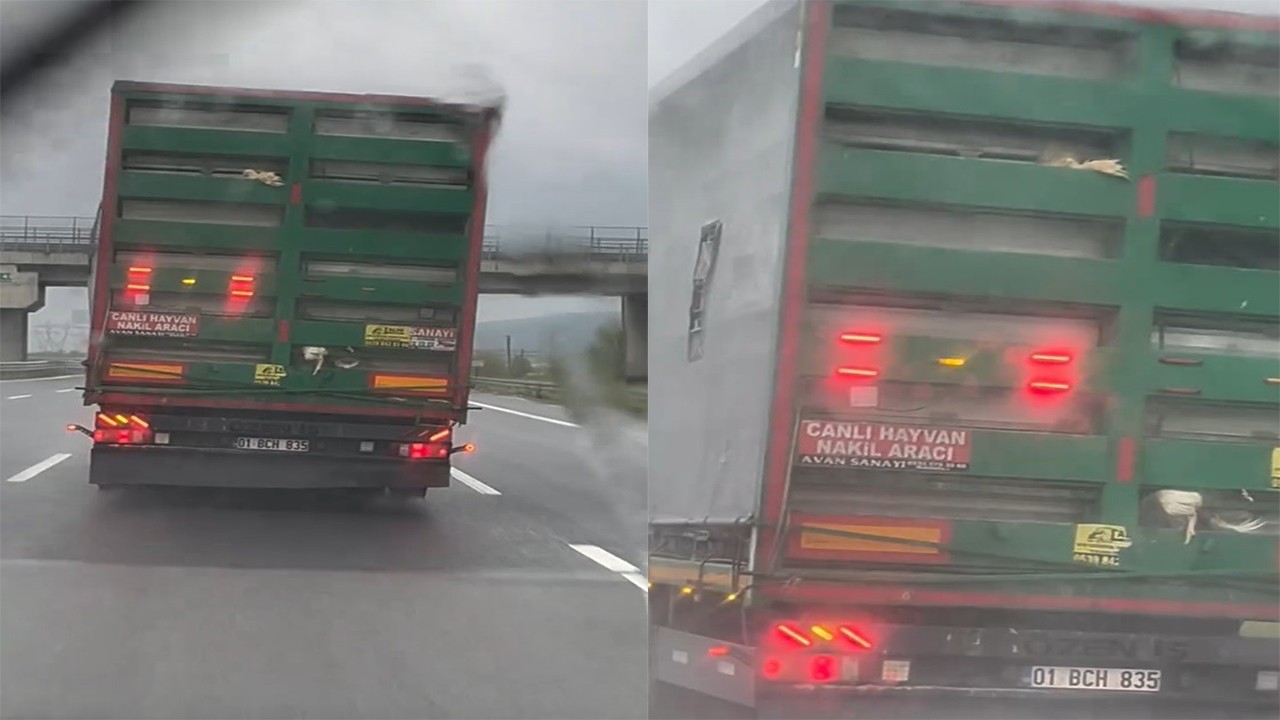 Otoyolda tırdan sarkan tavukların tehlikeli yolculuğu kameraya yansıdı