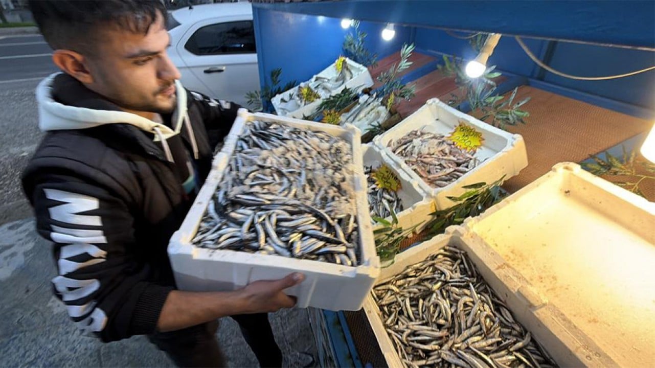 Palamut Gürcistan'a kaçınca tezgahlar hamsiyle doldu