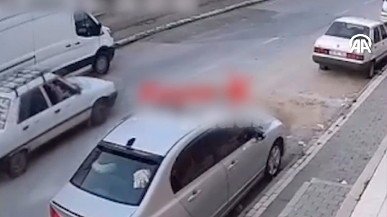 Sahipsiz kediye çarpıp kaçan sürücüye 12 bin 372 lira ceza