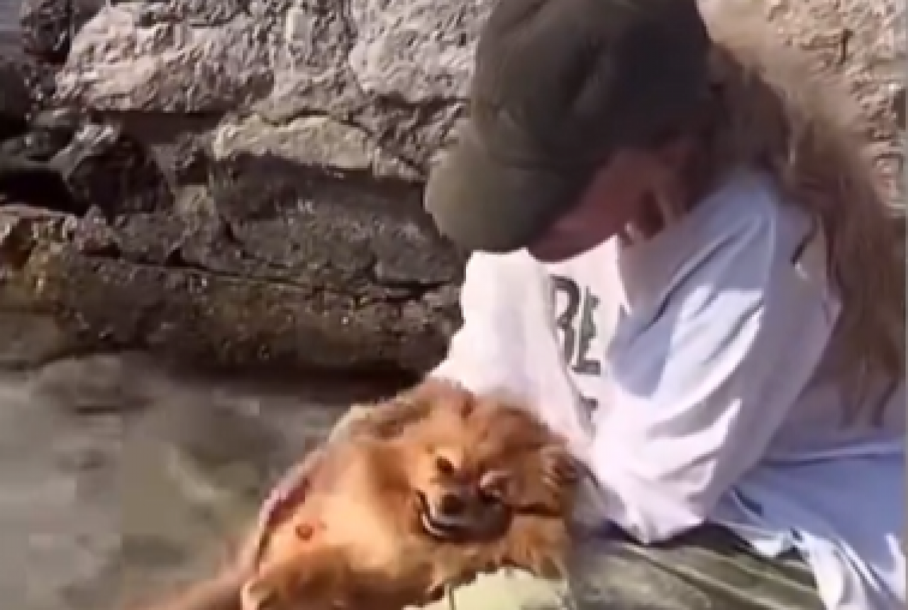 Seren Serengil’den sosyal medyayı karıştıran hareket! Ölü köpeğini denize soktu