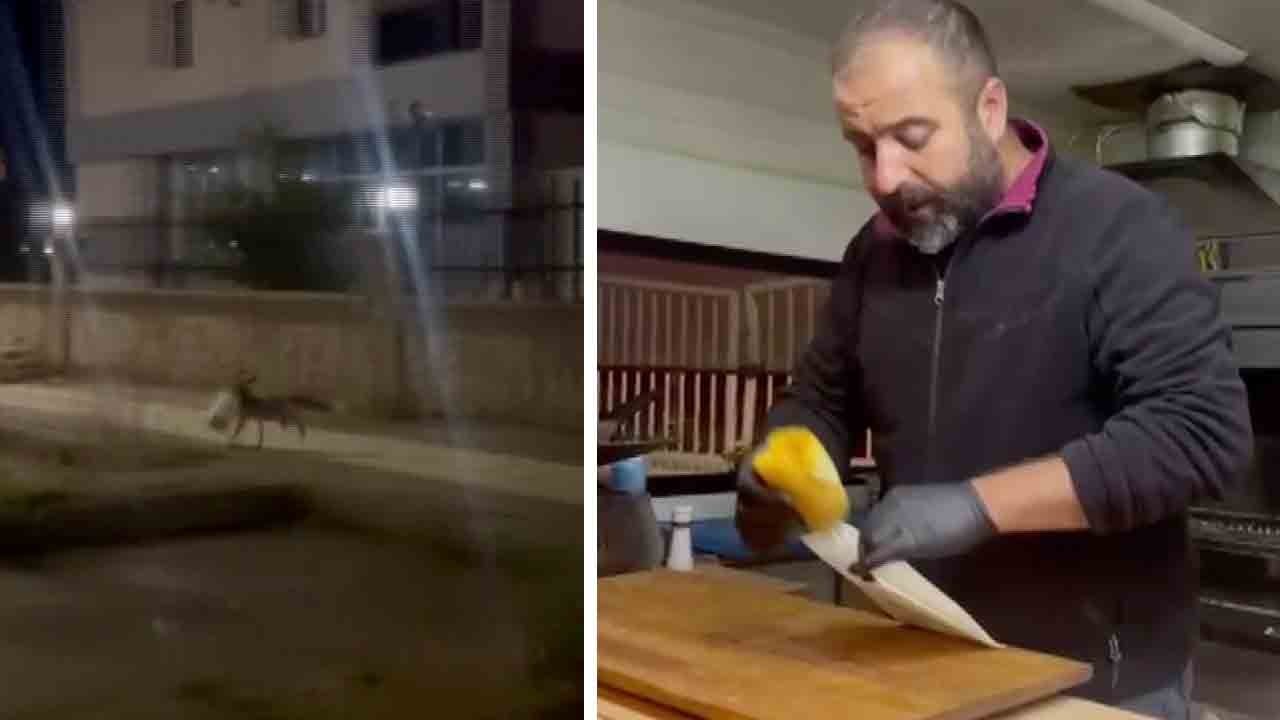 Sivas’ta sıra dışı müşteri: Her akşam paket alıyor!