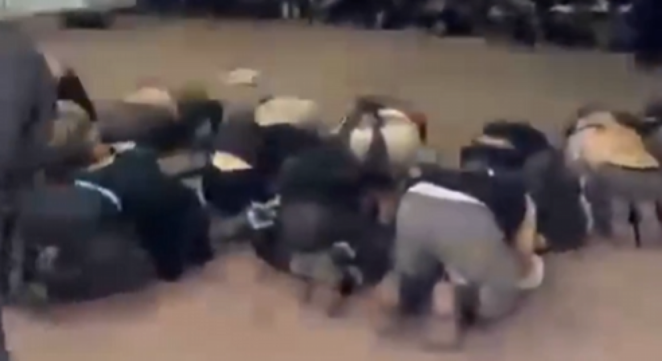 Siyonist haydutların alçaklığı ifşa oldu! Uluslararası sularda kaçırılan Sumud Filosu aktivistlerine Aşdod Limanı'nda vahşi muamele!