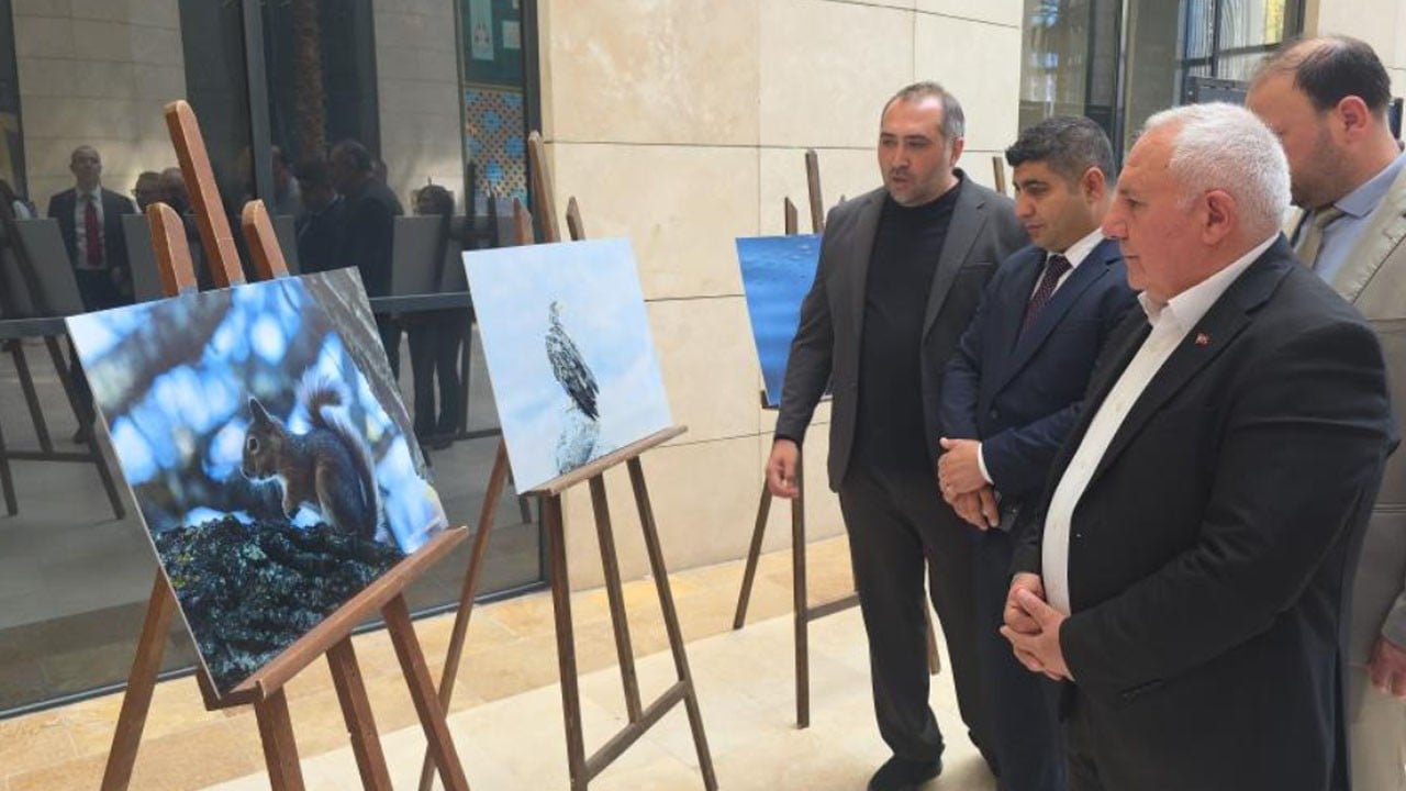 Son derece hassas: Doğa hayatını fotoğraflarla gözler önüne serdiler! Onlar koku ve sese 