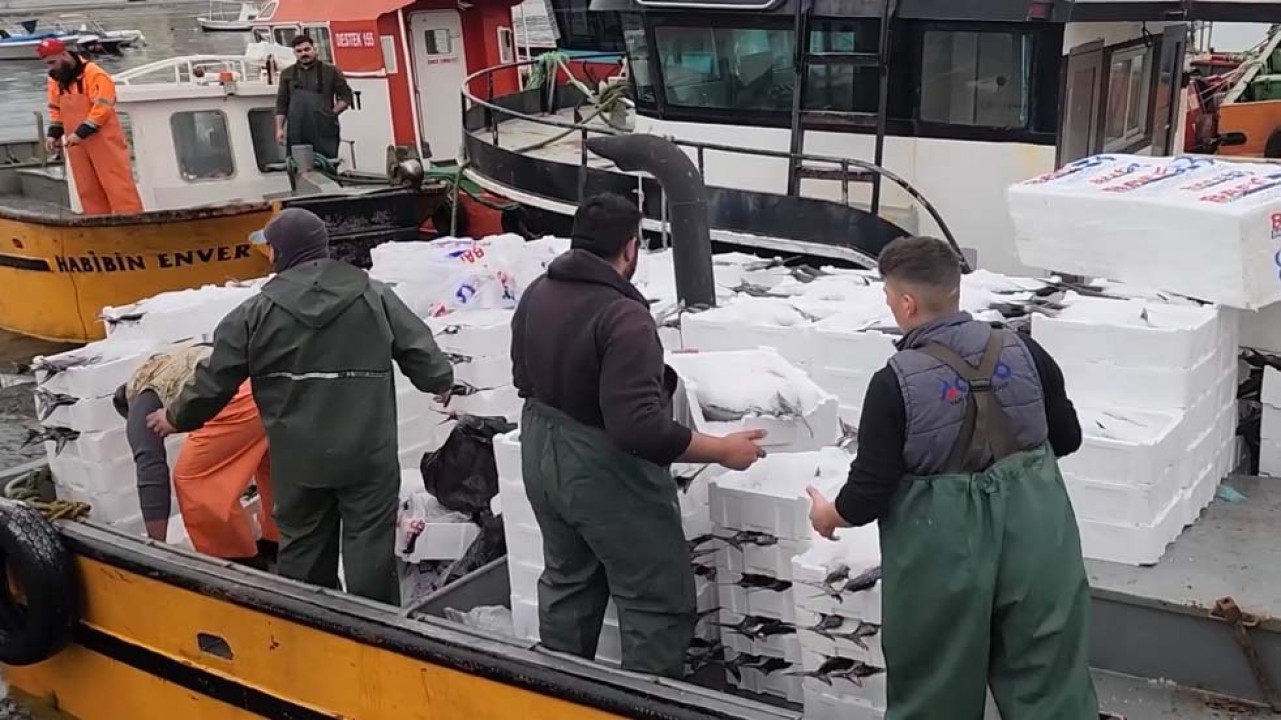 Tekirdağlı balıkçıların yüzünü torik güldürüyor