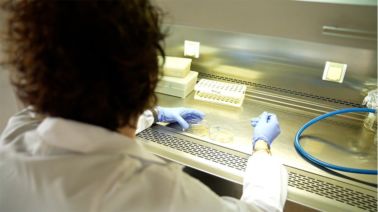 TENMAK, yiyeceklerin raf ömrünü uzatan gıda teknolojisi geliştiriyor