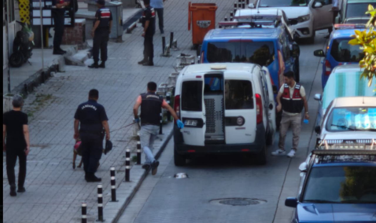 Baro başkanı dahil tüm ‘tozcu çete’ salıverildi