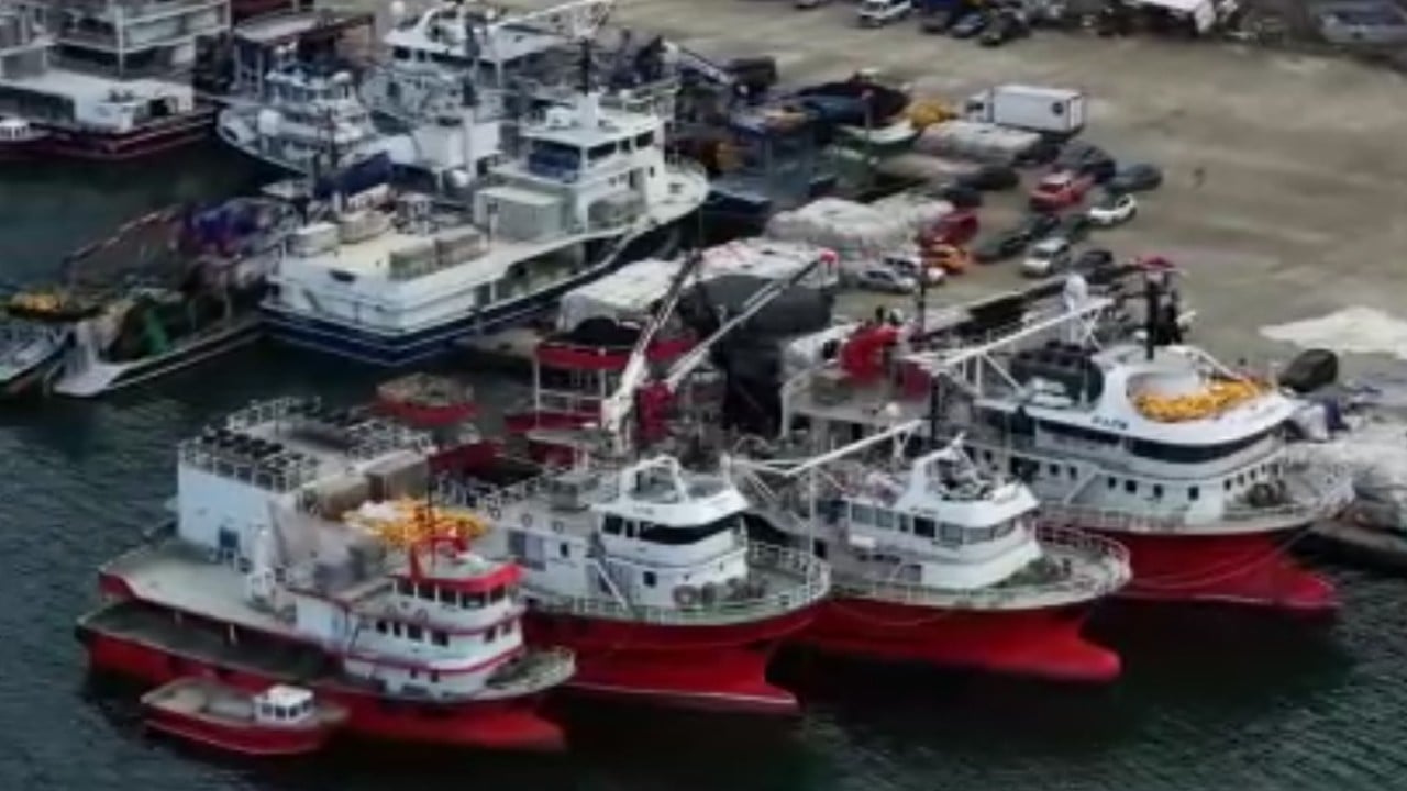 Trabzon'da balıkçılar tekneleri bağladı paydos dedi