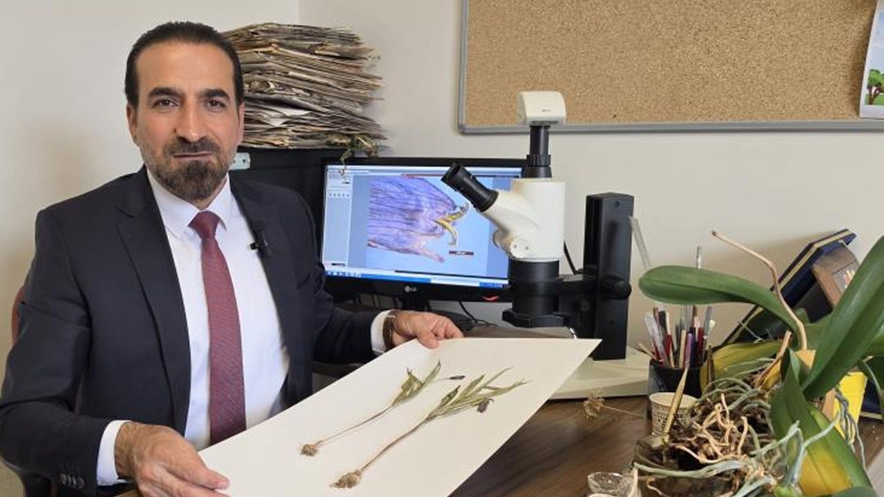 Türkçe bilimsel adı Muş Ters Lalesi: Muş'ta yetişen yeni bitki türü keşfedildi
