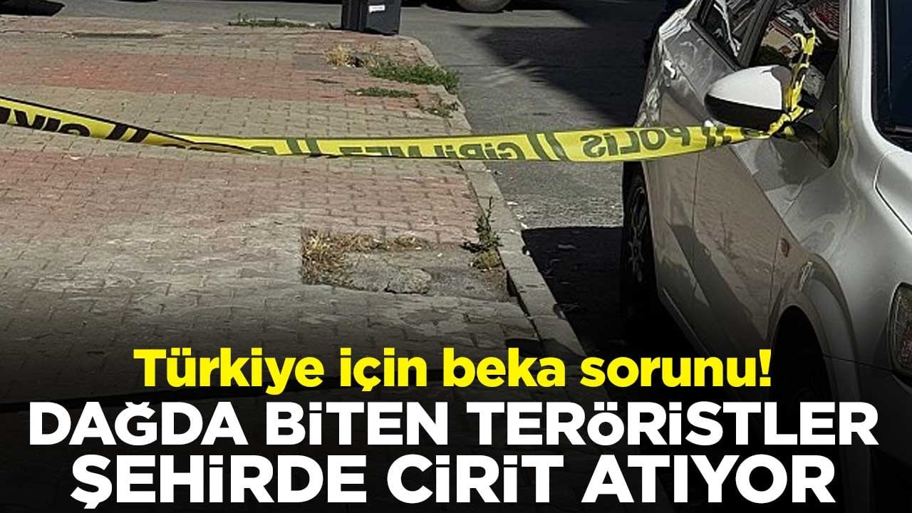 Türkiye için beka sorunu! Dağda biten teröristler şehirde cirit atıyor