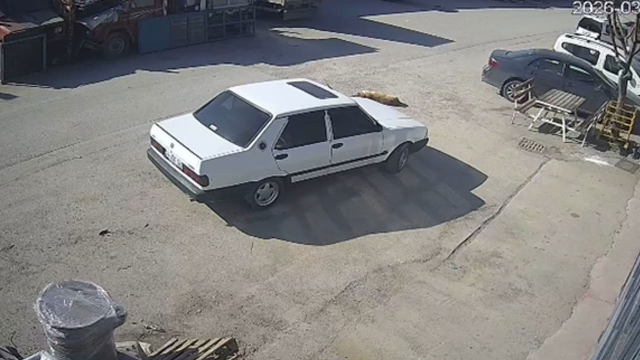 Vicdansızlık kamerada! Yerde yatan köpeği ezip yoluna devam etti