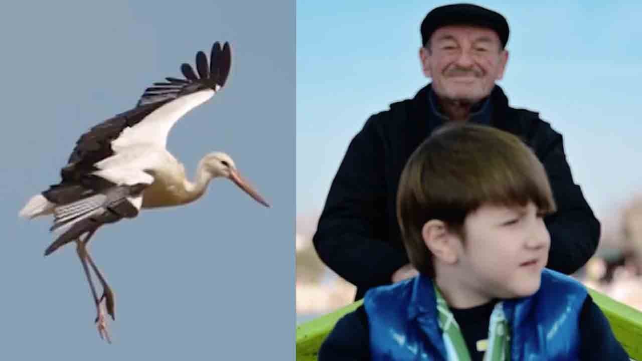 Yağız Efe için umut videosu: Balıkçı Adem ve Yaren leylek’ten destek