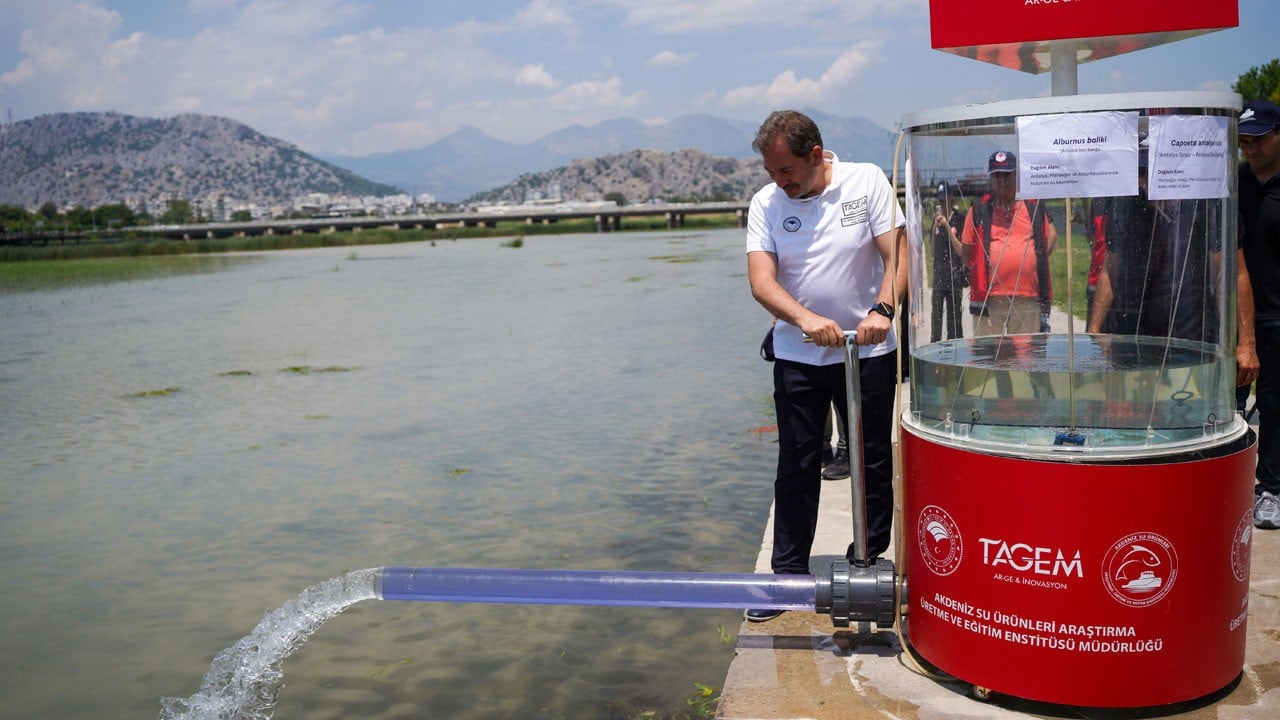 Yok olmak üzereydiler! 2 bin yavru balık Boğaçayı’na bırakıldı