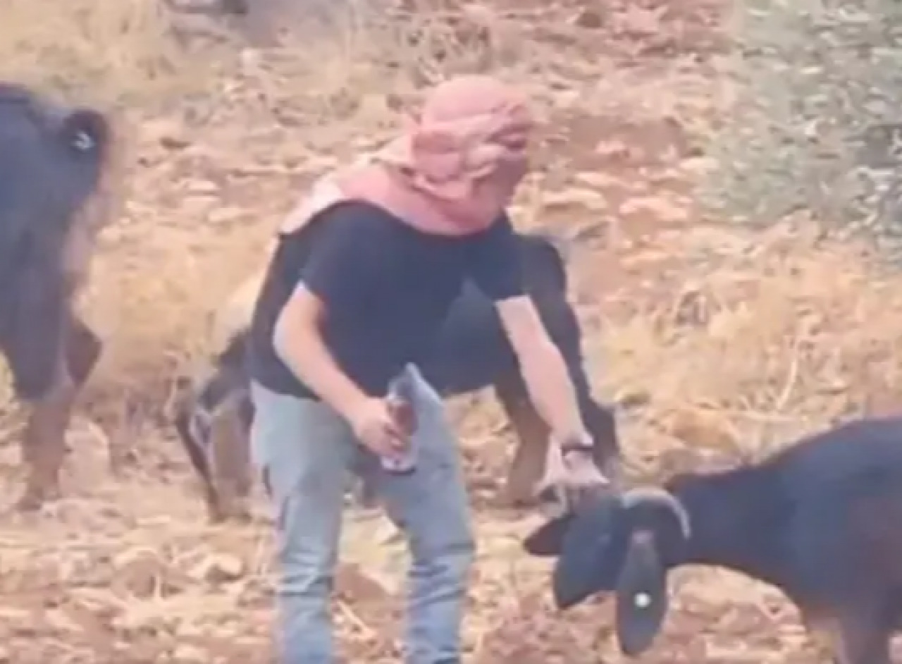 Zehirleme görüntülerinin arkasından İsrailli çıktı