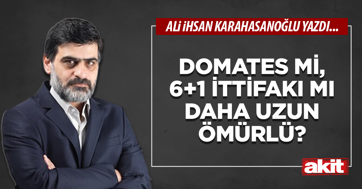 Domates mi, 6+1 ittifakı mı daha uzun ömürlü?