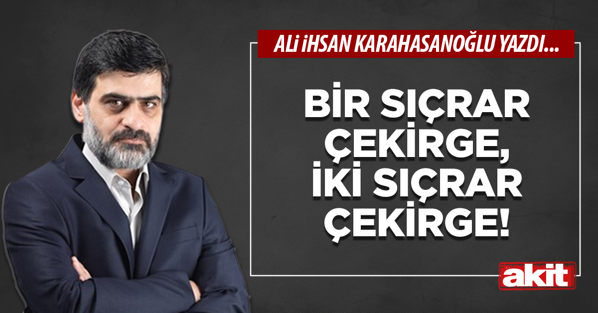 Bir sıçrar çekirge, iki sıçrar çekirge!
