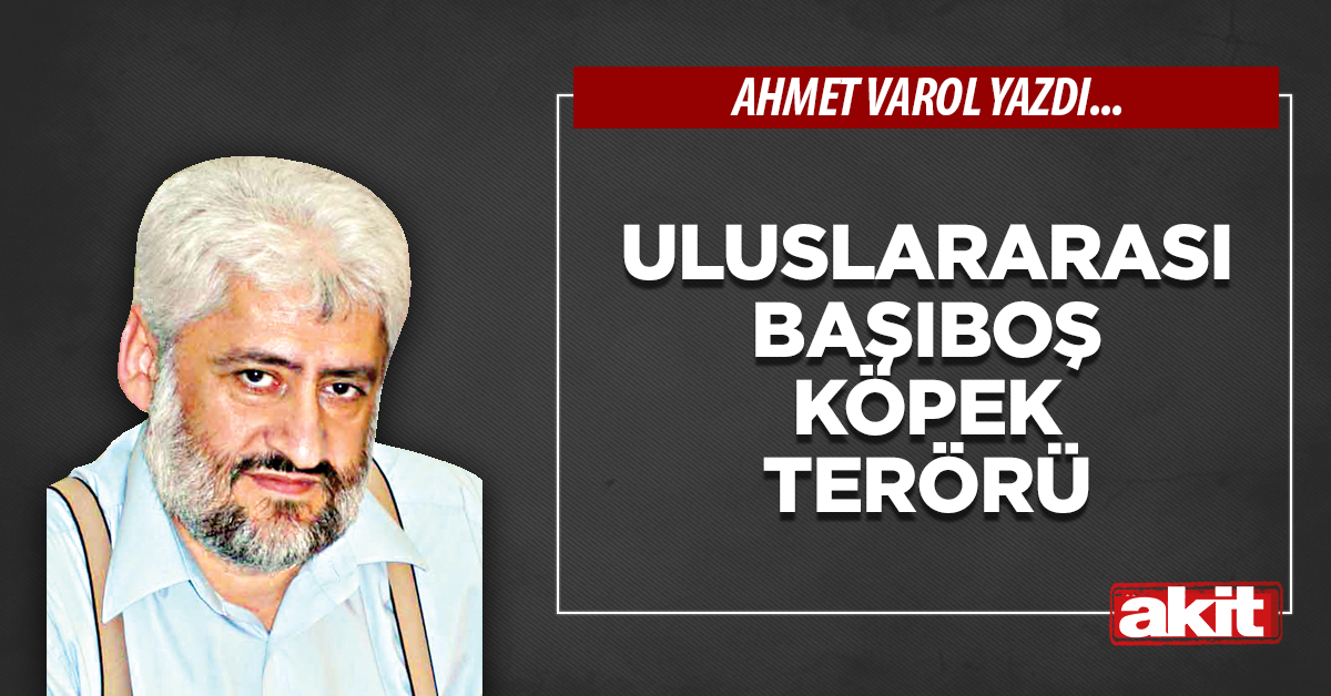 Uluslararası başıboş köpek terörü
