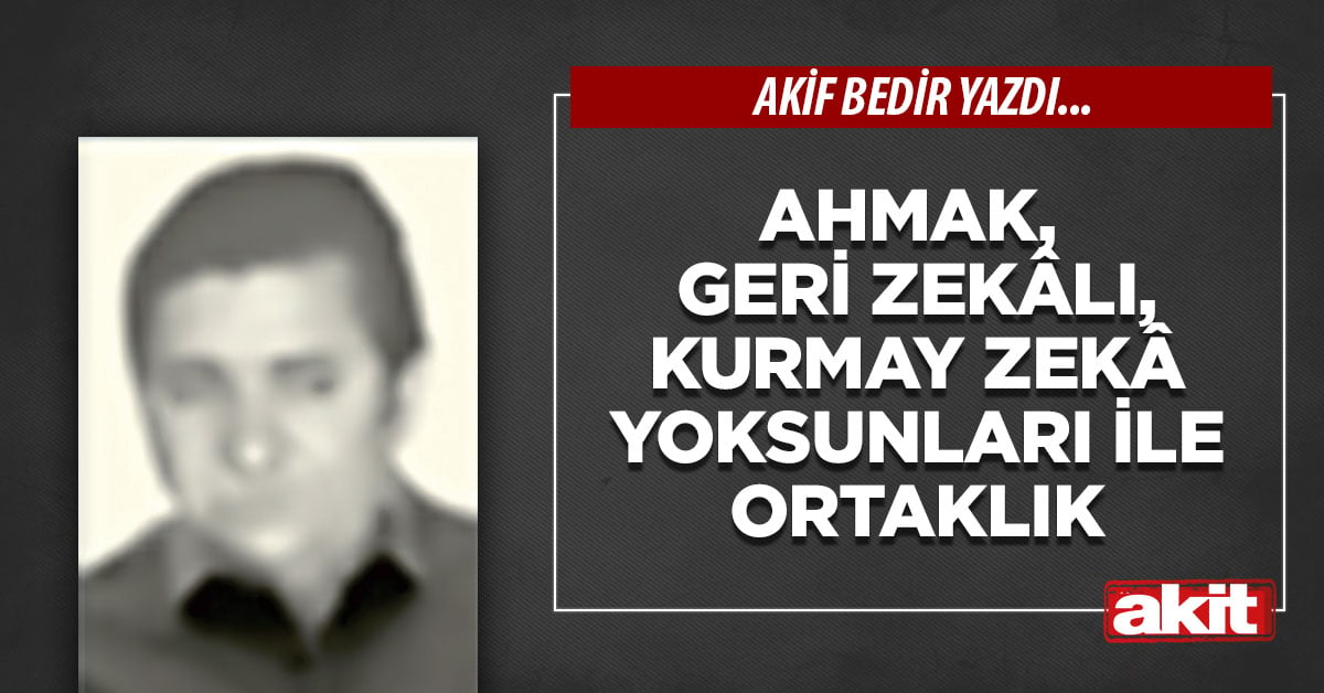 Ahmak, geri zekâlı, kurmay zekâ yoksunları ile ortaklık