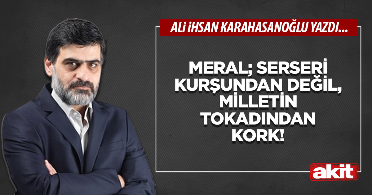 Meral; serseri kurşundan değil, milletin tokadından kork!
