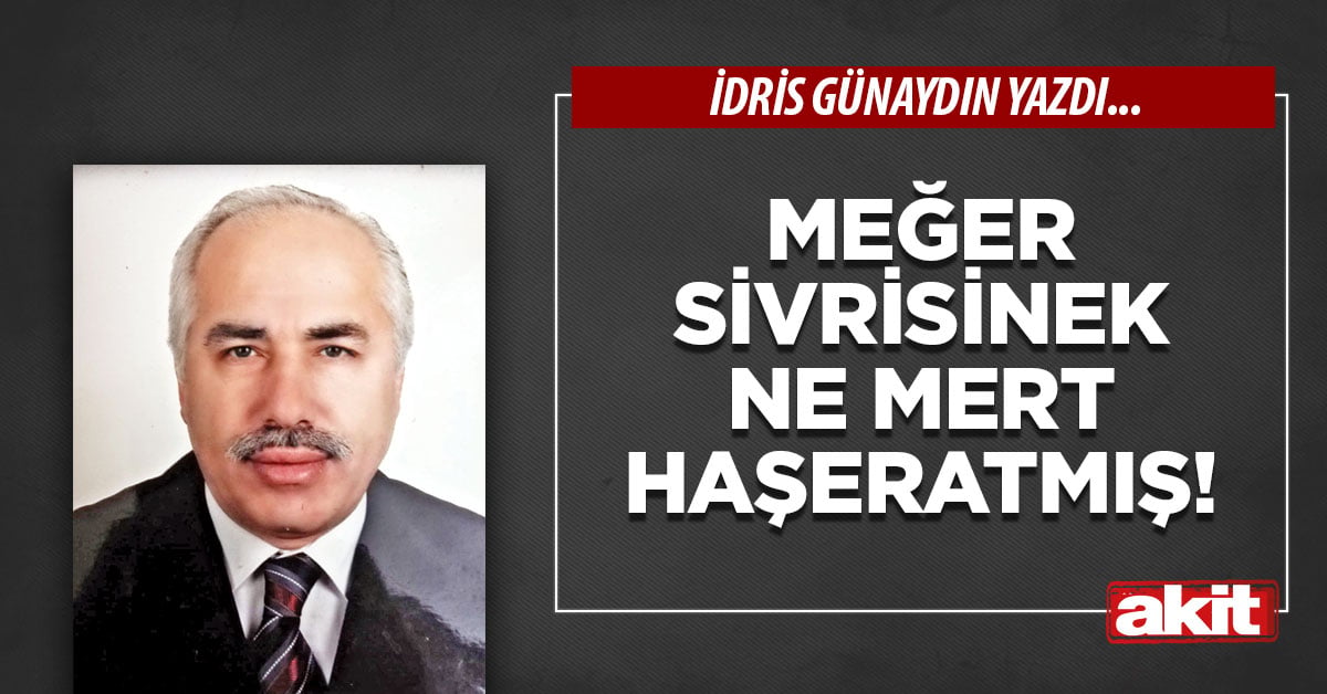 Meğer sivrisinek  ne mert haşeratmış!