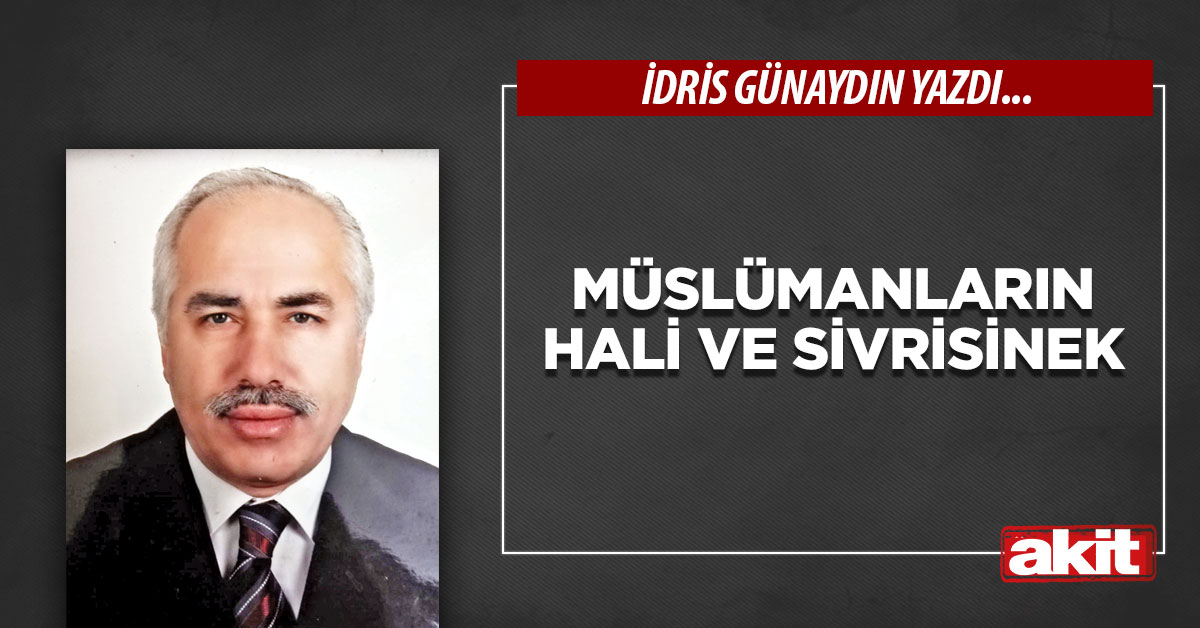 Müslümanların hali ve sivrisinek