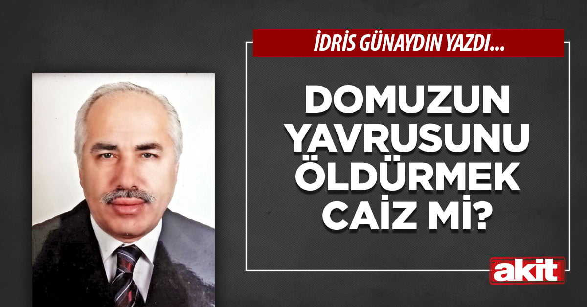 Domuzun yavrusunu öldürmek caiz mi?