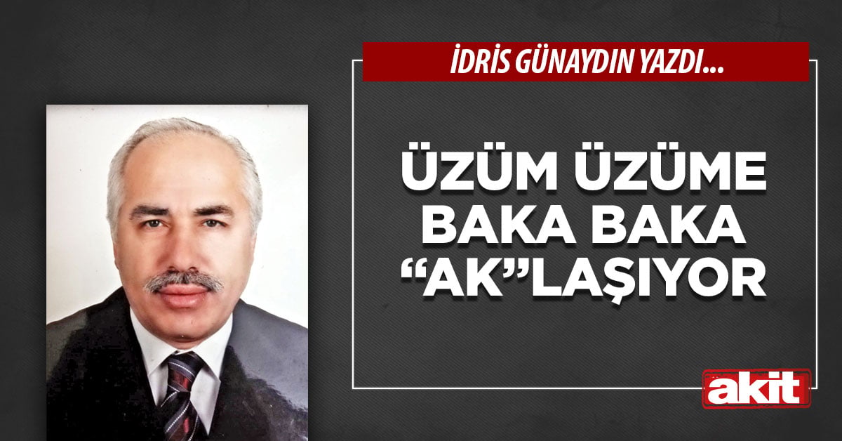 Üzüm üzüme baka baka “ak”laşıyor
