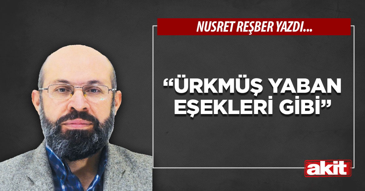 “Ürkmüş yaban eşekleri gibi”