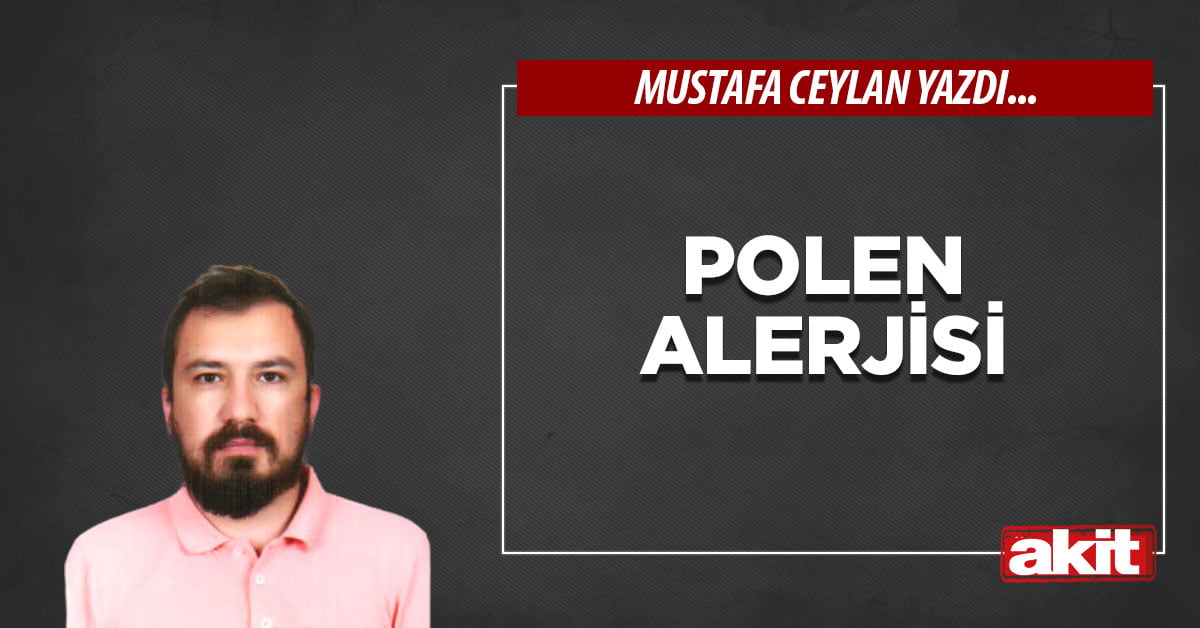 Polen Alerjisi
