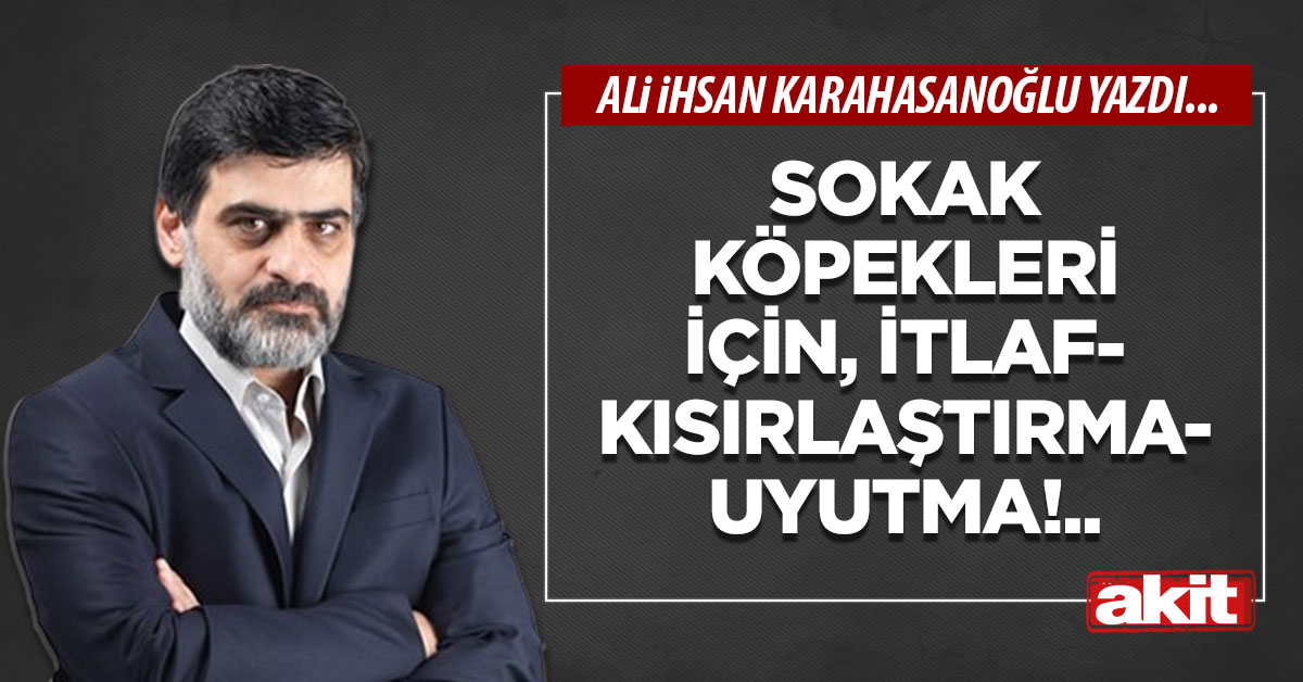 Sokak köpekleri için, itlaf-kısırlaştırma-uyutma!..