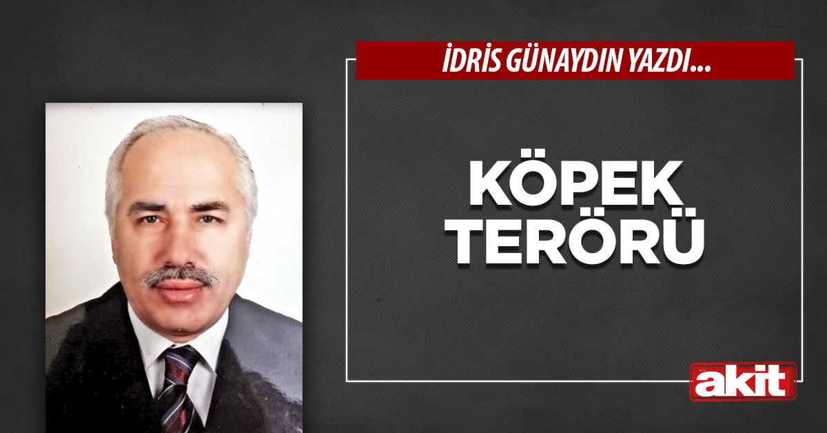 Köpek terörü