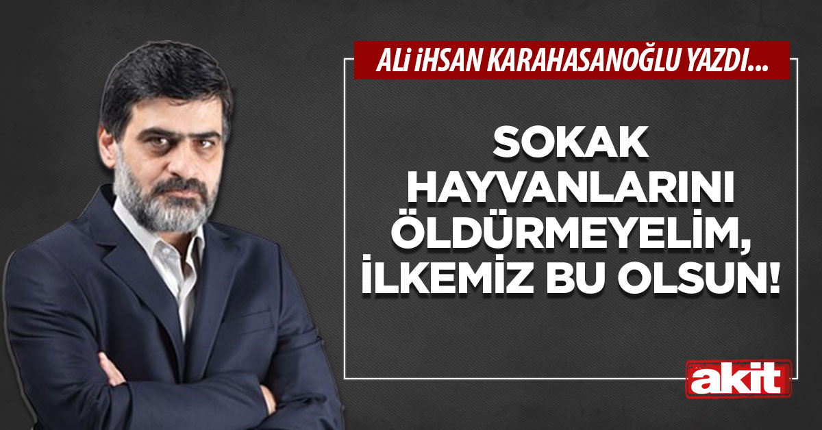 Sokak hayvanlarını öldürmeyelim, ilkemiz bu olsun!