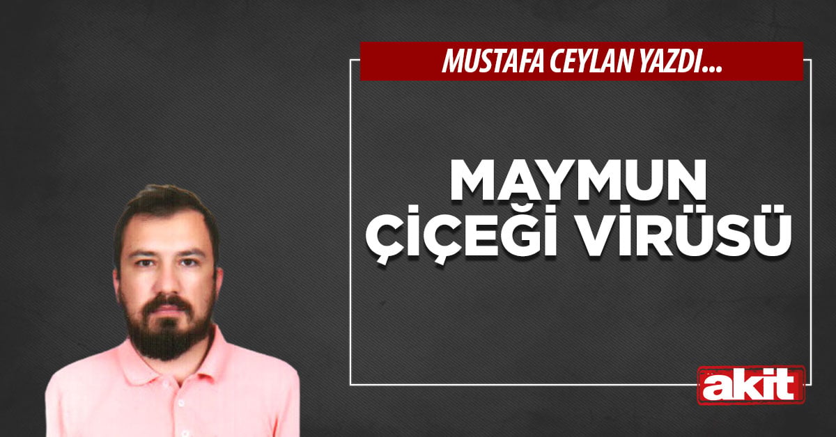 Maymun çiçeği virüsü