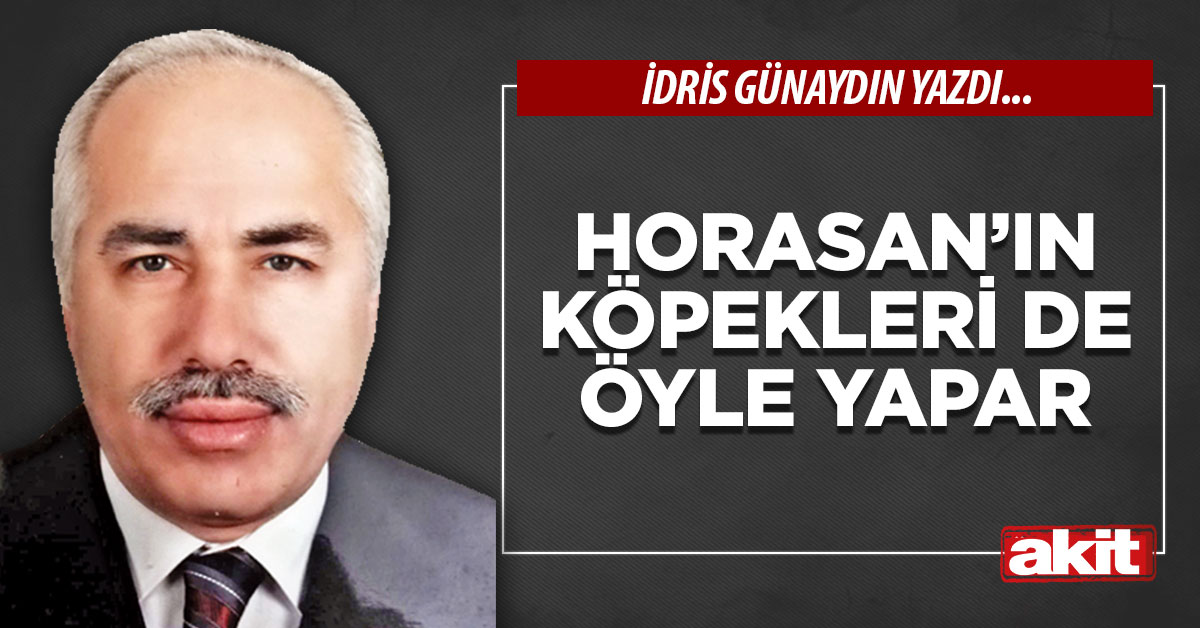 Horasan’ın köpekleri de öyle yapar