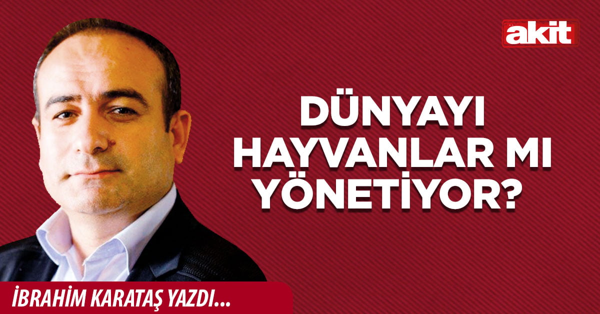Dünyayı hayvanlar mı yönetiyor?
