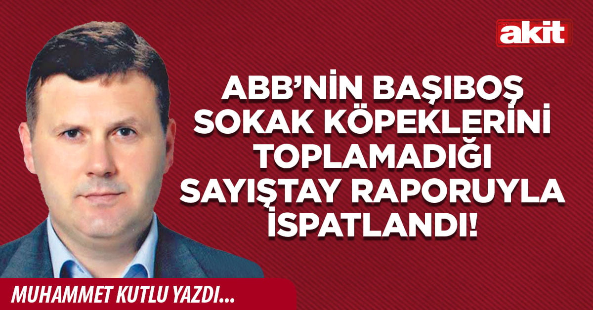 ABB’nin başıboş sokak köpeklerini toplamadığı Sayıştay raporuyla ispatlandı!