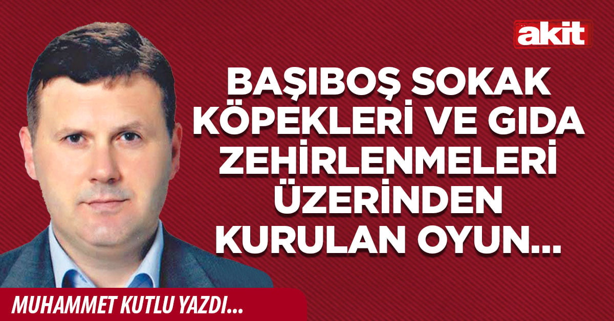 Başıboş sokak köpekleri ve gıda zehirlenmeleri üzerinden kurulan oyun…