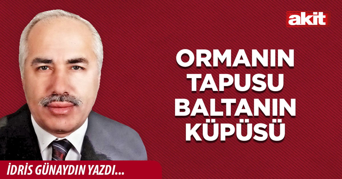 Ormanın tapusu baltanın küpüsü