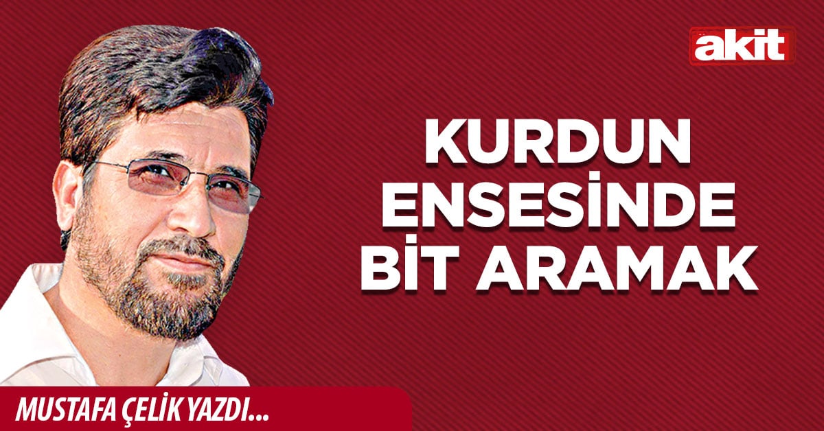 Kurdun ensesinde bit aramak