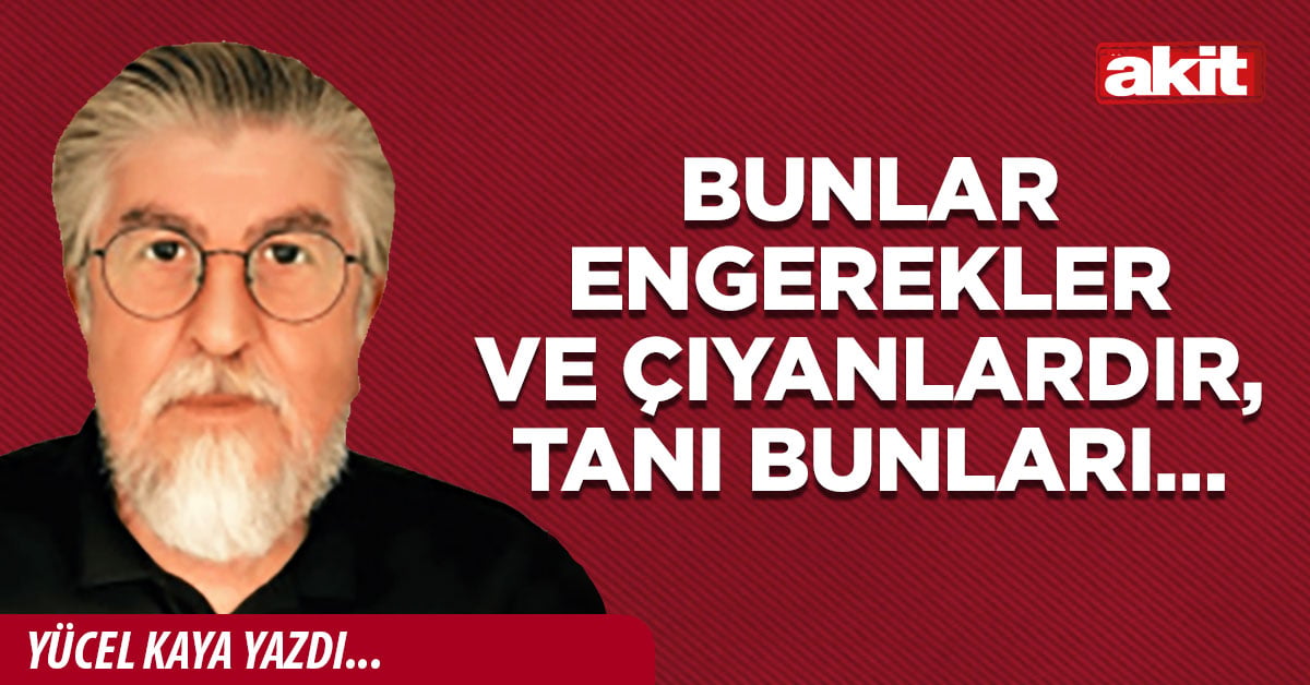 Bunlar engerekler ve çıyanlardır, tanı bunları…