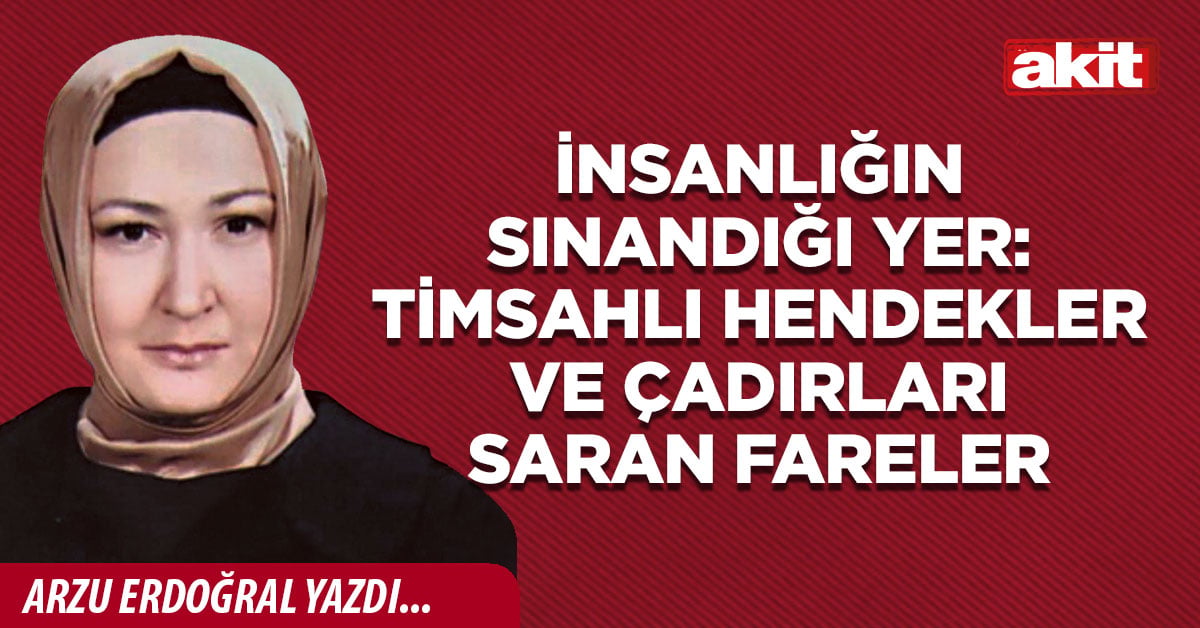 İnsanlığın sınandığı yer: Timsahlı hendekler ve çadırları saran fareler
