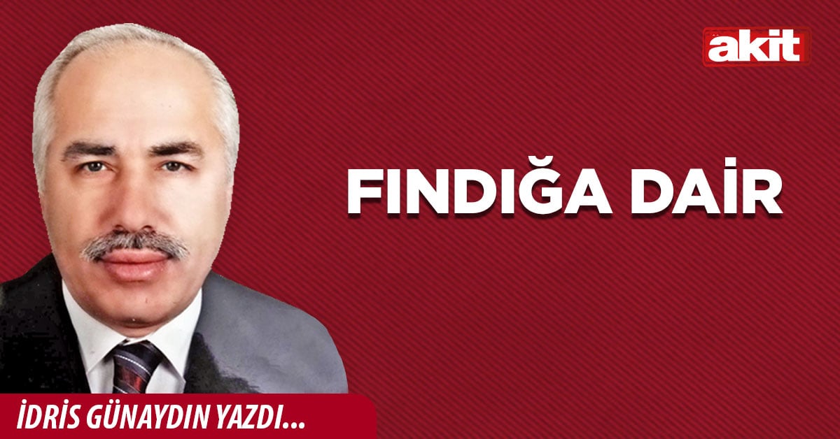 Fındığa dair