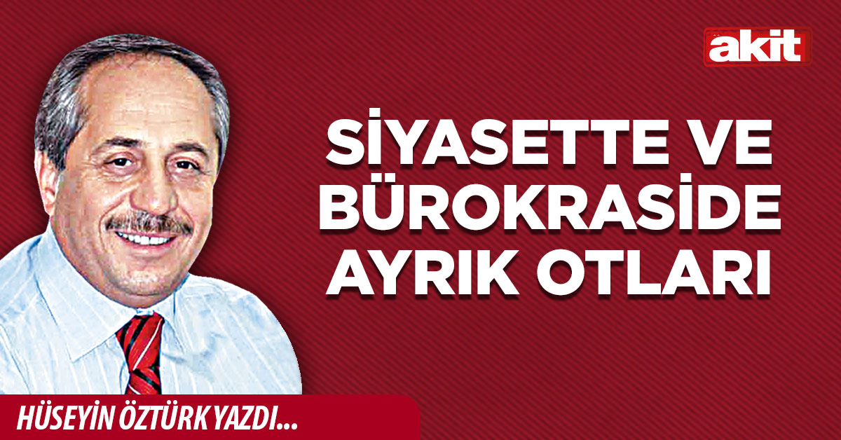 Siyasette ve bürokraside ayrık otları